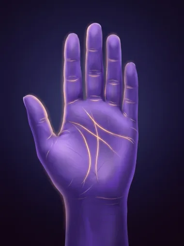 An illustrated palm, as the palm reading shows it